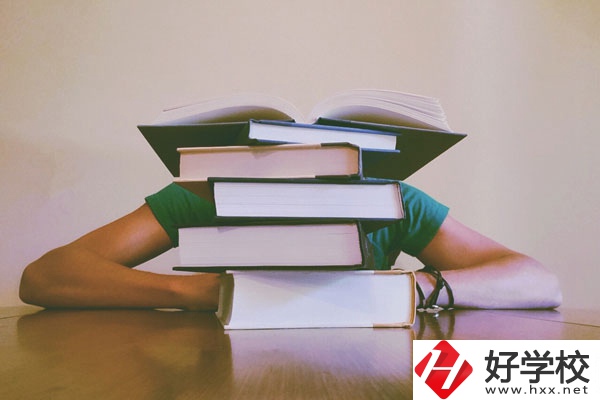 南岳區職業中等專業學校辦學地址在哪兒？