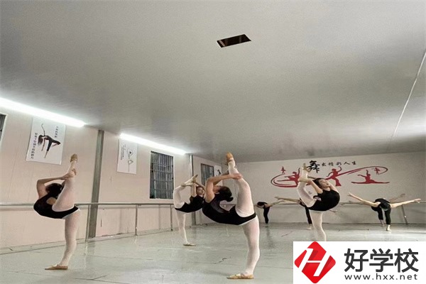 懷化市大鑫藝術職業學校是公辦嗎？學費是多少？