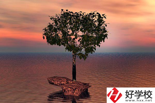 湖南省中南藝術學校收費標準怎么樣？