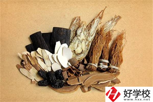 在湘西學中草藥栽培怎么樣？開設此專業的學校有哪些？
