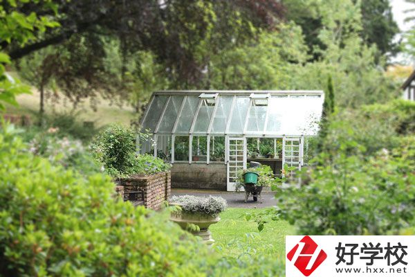 湖南省商業技師學院開設哪些專業？就業情況如何？