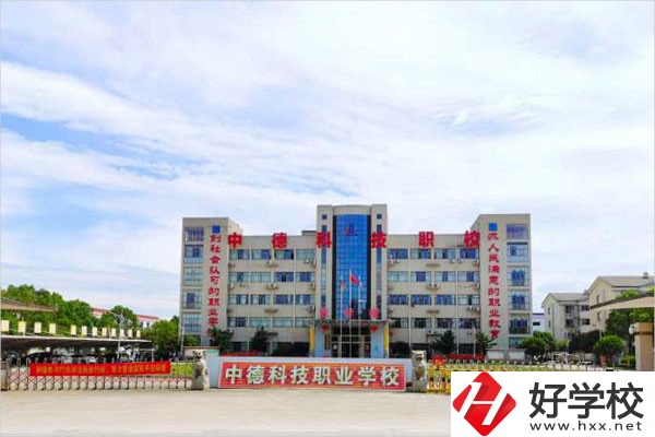 衡陽市中德科技職業學校有哪些辦學特色？