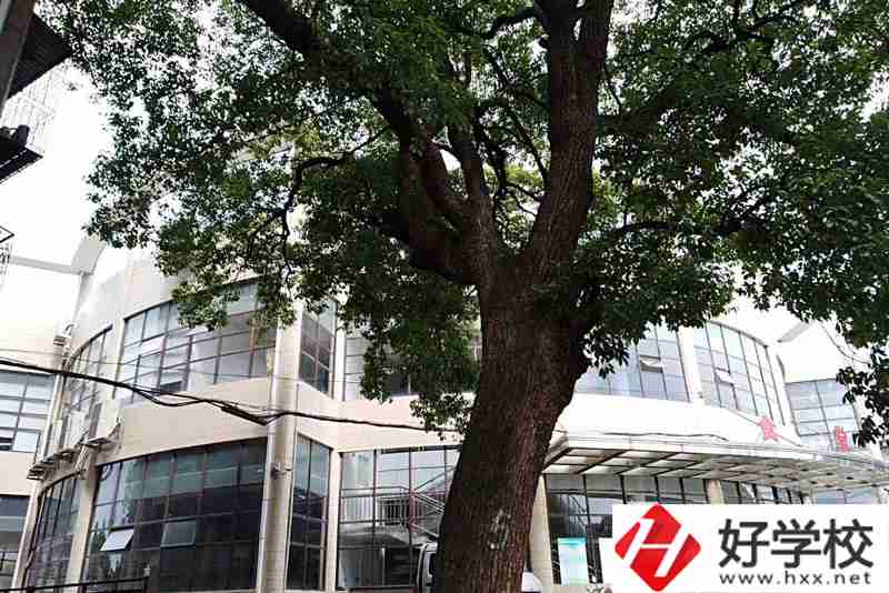 衡陽排名前三的職業學校你知道有哪幾所？
