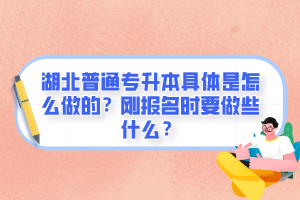 湖北普通專升本具體是怎么做的？剛報名時要做些什么？