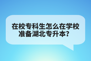 在校?？粕趺丛趯W校準備湖北專升本？