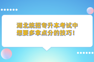 湖北統招專升本的學歷和本科學歷考公務員一樣嗎？