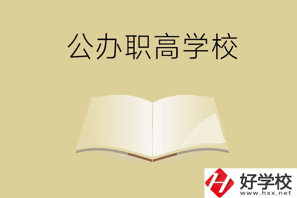 懷化公辦的職高學校有哪些？