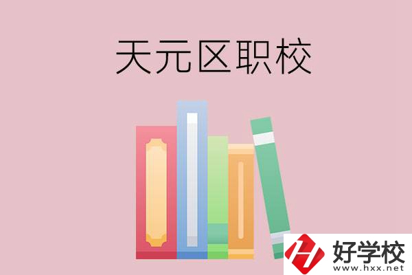 株洲市天元區的職校有哪幾所？