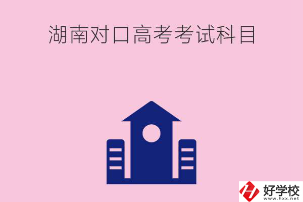 湖南中職生對口高考考試科目都有哪些？考試難不難？