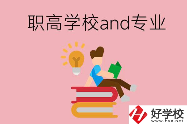 湖南省有哪些職高學校？開設了什么專業？