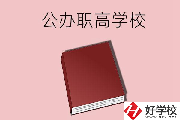 湖南有什么公辦的職高學校？