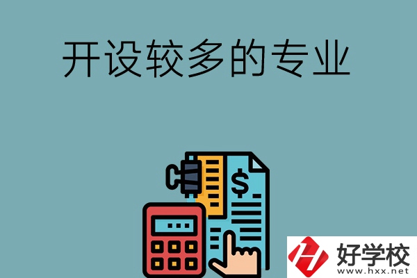 湖南的中職學校開設較多的專業是哪些？