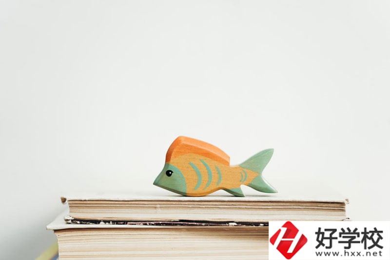 長沙市英藍中等職業學校學費多少？貴不貴？