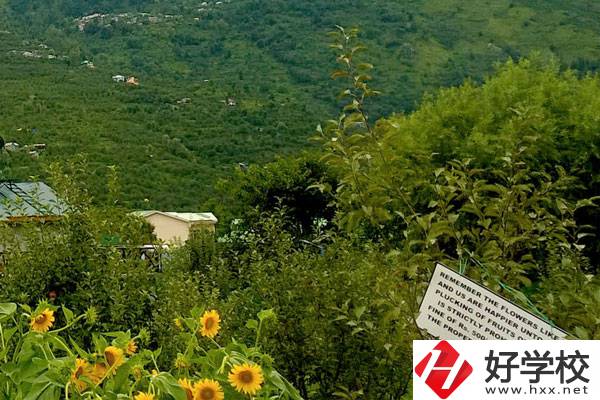 長沙公辦中職學校好不好？都有哪些學校？