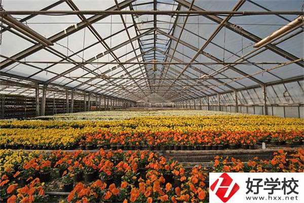 園藝技術專業好就業嗎？永州有開設該專業的公辦學校嗎？