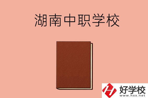 湖南有哪些就業率比較高的中職學校？