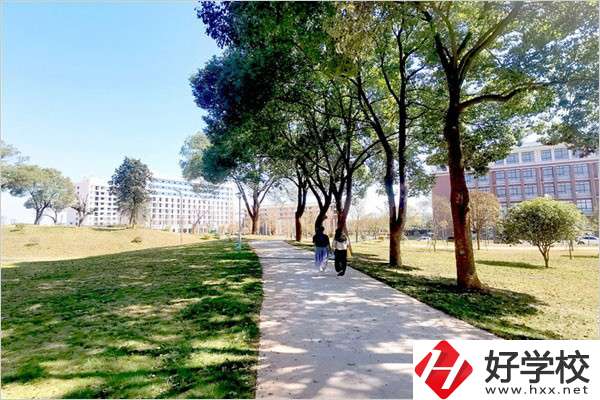 郴州思科職校有哪些專業？可以考大學嗎？