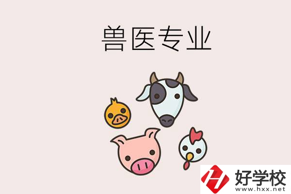 湖南哪些職校能學獸醫專業？學獸醫前景怎么樣？