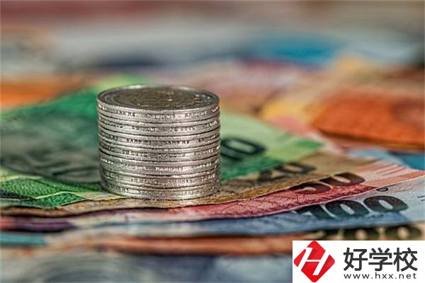 湖南職校會計電算化專業怎么樣？就業前景好不好？