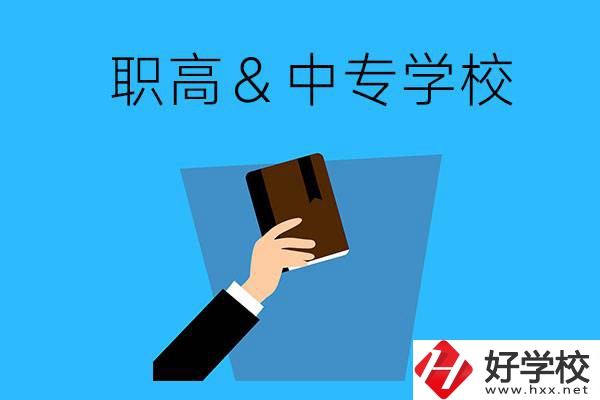 長沙現在還有哪些職高或中專學?？梢詧竺?？