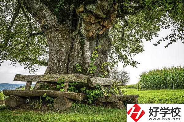 湖南特教中等專業學校有哪些特色專業？有資助政策嗎？