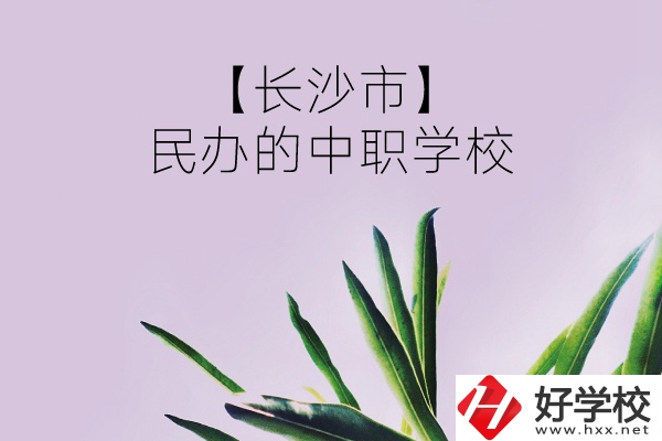 長沙市有哪些民辦的中職學校？