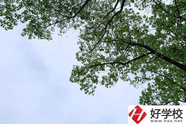 衡南縣職業中專學校的宿舍和食堂環境怎么樣？