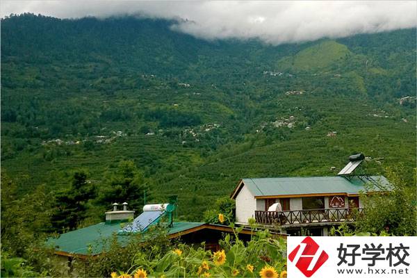 益陽大誠職業學校的專業怎么樣？就業方向如何？