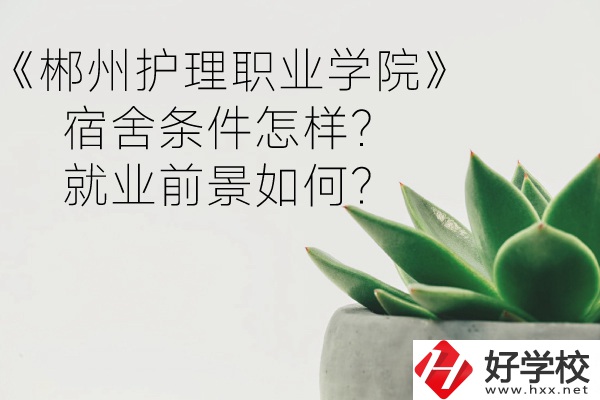 郴州護理職業學院宿舍條件怎樣？就業前景如何？