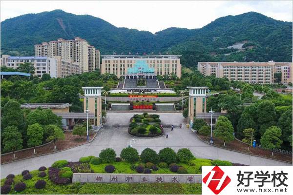 郴州有幾所職校設有中職部？中職生有哪些升學途徑？