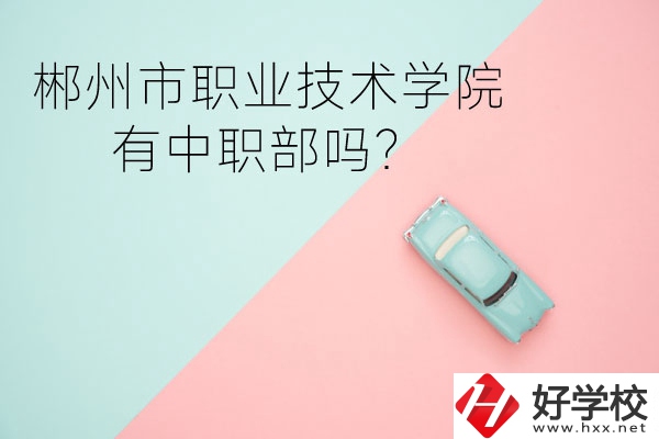 郴州市職業技術學院有中職部嗎？