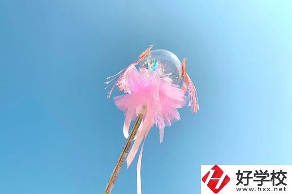 邵陽縣有什么中專學校？師資力量如何？