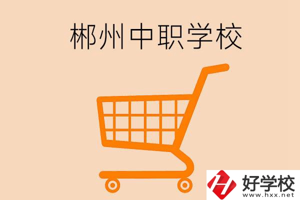 郴州哪些中職學校開設了電子商務專業？