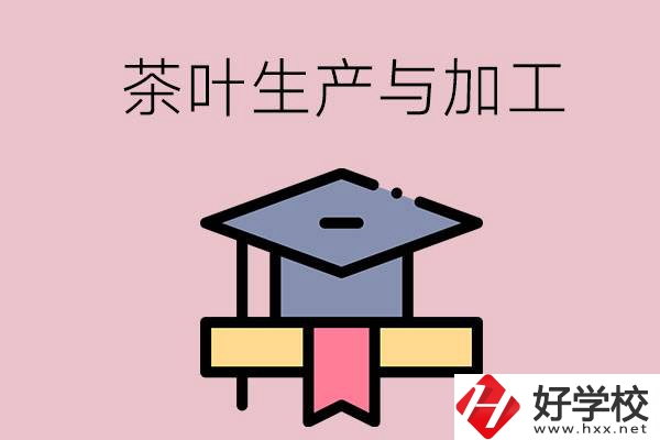 湖南哪些技校開設了茶葉生產與加工專業？