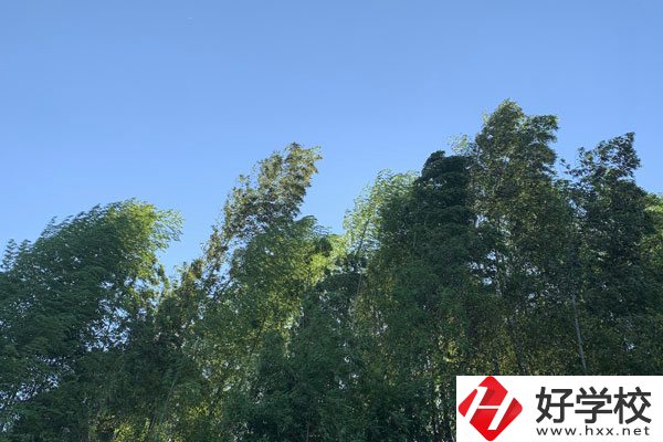 張家界協力技工學校好不好？就業前景怎么樣？