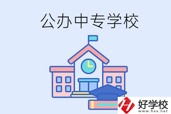湘西一共有多少所公辦的中專學校？