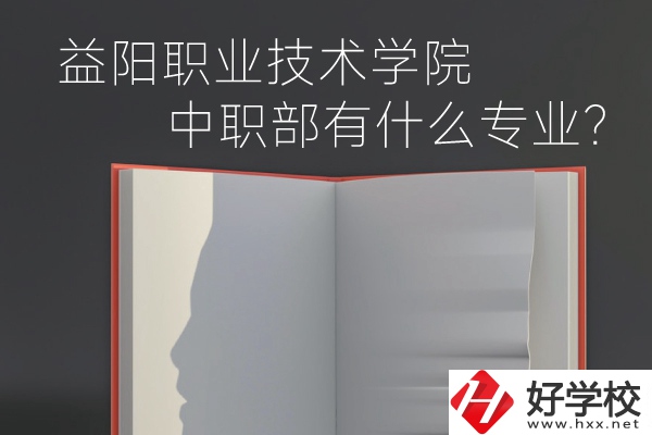 益陽職業技術學院中職部有什么專業？