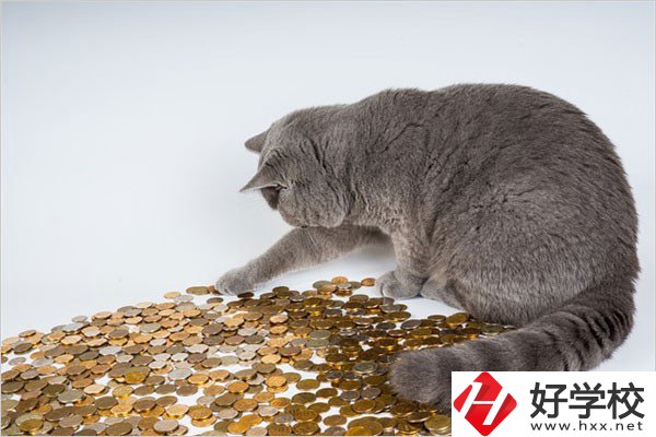 邵陽的職高一年學費是多少？比較便宜的學校有哪些？