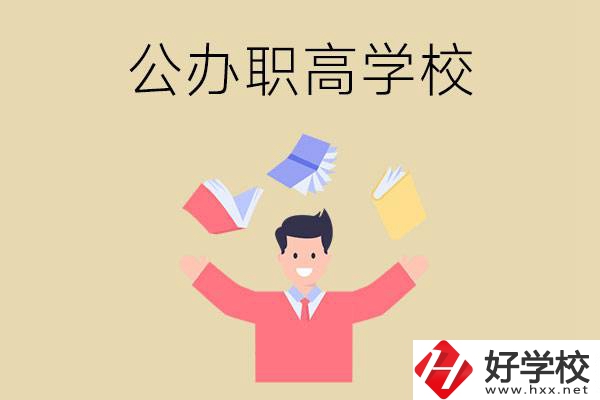 婁底公辦的職高學校有幾所？