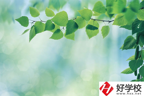 永州工商職業中等專業學校哪些是特色專業？好就業嗎？
