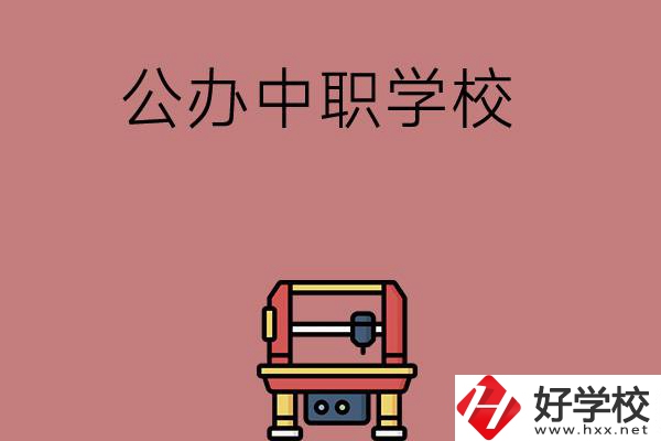 長沙可以學計算機應用專業的公辦中職學校有哪些？