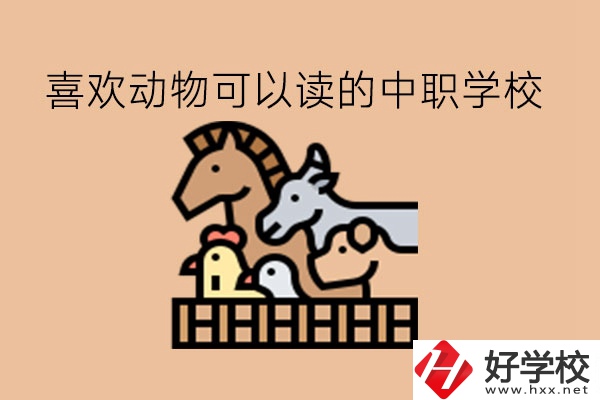 喜歡動物的學生，可以讀這些中職學校!