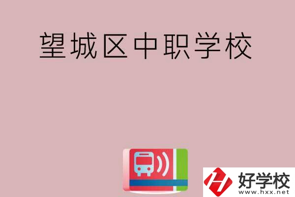 長沙望城區有哪些中職學校？
