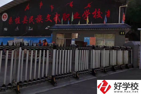 桑植縣民族文武職業學校的運動訓練專業怎么樣？