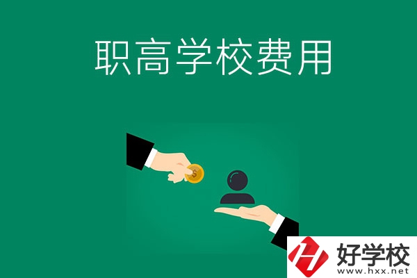 上懷化的公立職高學校要多少費用？