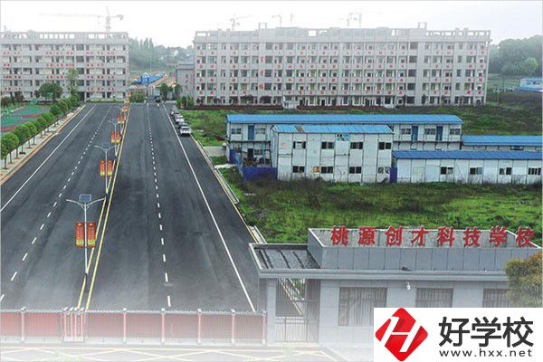 桃源縣有幾所民辦中職學校？實力如何？