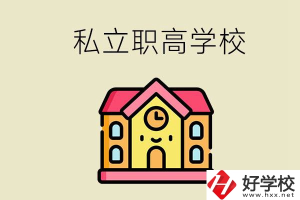 永州私立職高有哪些開設了電子技術應用專業？