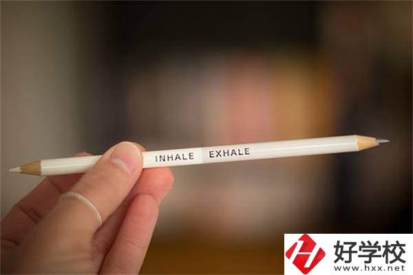 在湖南選擇中職學校要注意4點，招生信息可以在哪看？