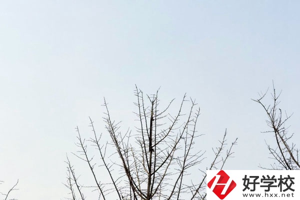 益陽第一職業中專學校怎么樣？值得報考嗎?