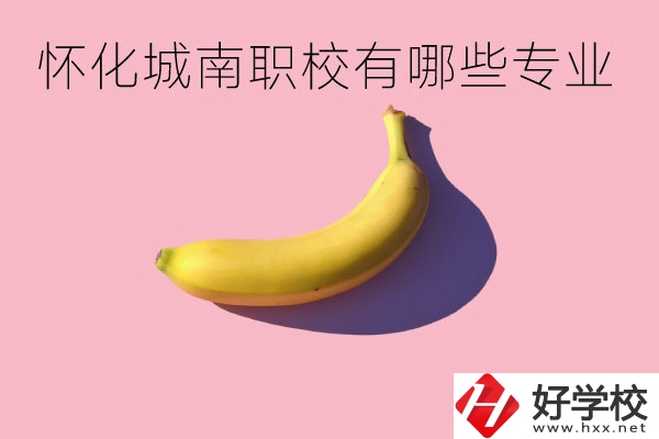 懷化城南職業學校有哪些專業？學校好不好？